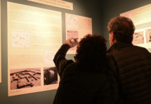 El Museo de Arte Tigre inauguró la muestra “Misión Arqueológica Argentina en Tell El-Ghaba 1995-2023”