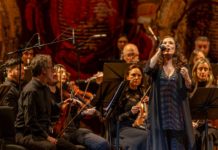 Fleni celebró una nueva Gala Solidaria en el Teatro Colón junto a Sandra Mihanovich